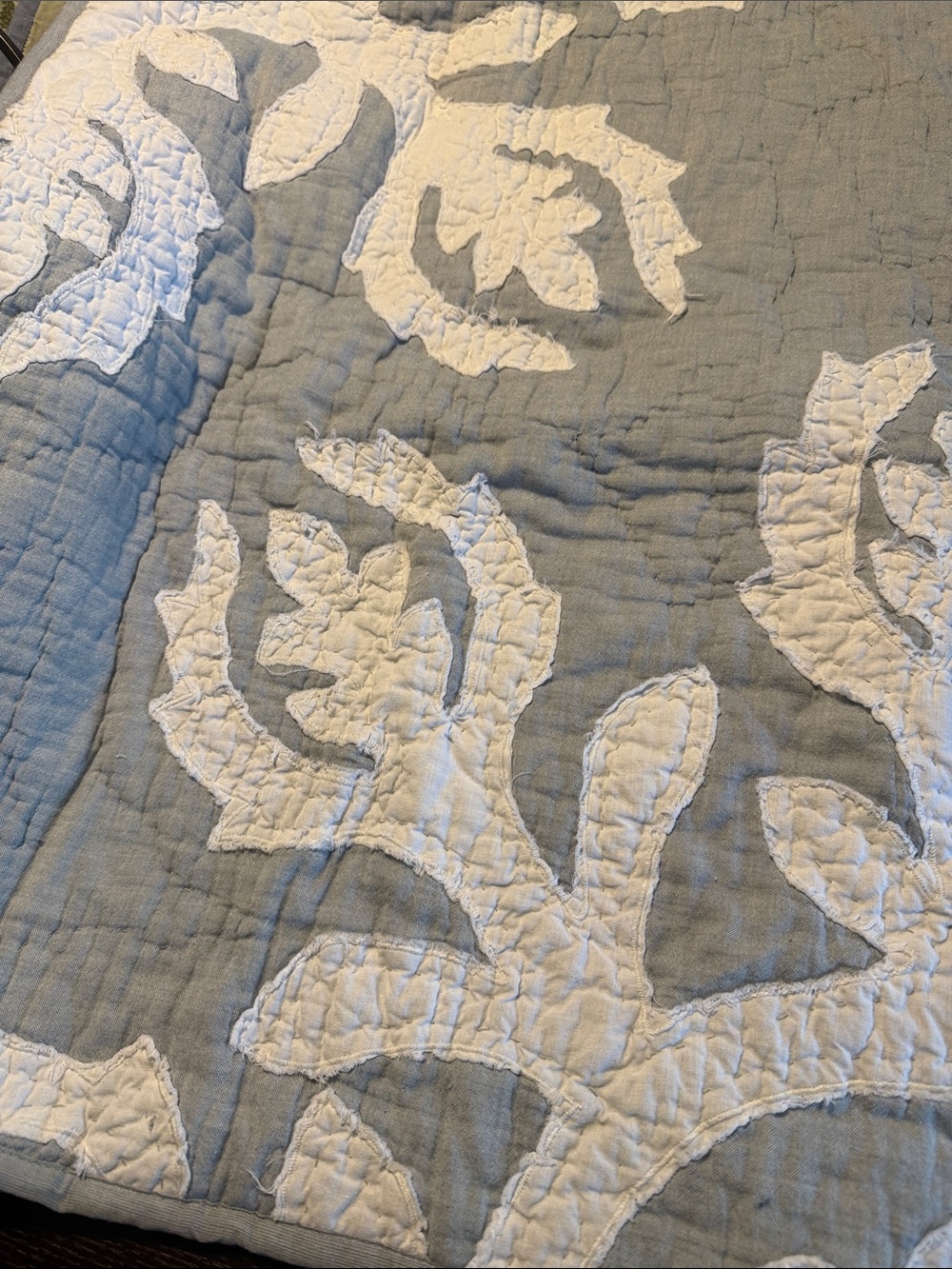 Pottery Barn Obama Quilted Appliqué Standard Sham 20” x 26”